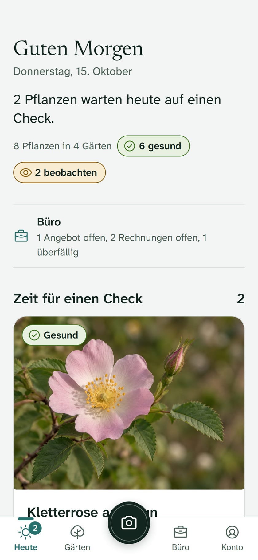 The Today screen: checks due and plants that need attention.